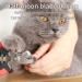 ZLXFT Nail Scissors for Dogs and Cats Rabbit Nail Scissors Stainless Steel Claw Clippers Claw Care Cutter for Pets Claw Care for Small Animals - Buy Online on SooperMarket.com