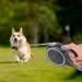 Edipets 5m Retractable Dog Leash - Flexible Extendable Leash for Dogs up to 20kg | Comfortable Walks with Inserable Design - Buy Online on SooperMarket.com