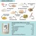 Lower Carb Helle Br tchen & Bread Mix Bundle | Vegan Gluten-Free Keto-Friendly Protein Bread Alternative - Bio & Lactose-Free - Buy Online on SooperMarket.com