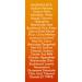Buy Sibu Beauty Sea Berry Cleansing Bar - Sea Buckthorn Oil 3.5 oz for Glowing Skin - Buy Online on SooperMarket.com