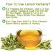 100% Organic Lemon Verbena Tea - Dried Lemon Leaves for Beauty | 20g Loose Leaf - Premium Chinese Herb - Buy Online on SooperMarket.com