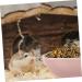 KICHOUSE 2pcs Hamster Food Plate Hamster Cage Accessories Bunny Food Hawaiian Food Hamster Bath Bowl Ceramic Rat Bowl Pet Bowl Small Cat Bowl Hamster Supplies Food Bowl for Cats Ceramics medium Pink - Buy Online on SooperMarket.com