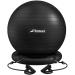 Trideer Ball Chair Yoga Ball Chair Exercise Ball Chair with Base & Bands for Home Gym Workout Ball for Abs, Stability Ball & Balance Ball Seat to Relieve Back Pain 65cm Black with Bands