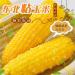 Delicious yellow glutinous corn stick sweet corn fresh corn vegetable snacks nutritious breakfast Coarse grains cereal Dim sum dessert sweets Chinese snack gift pack convenience food (8 bags) - Buy Online on SooperMarket.com