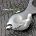 GuashaSpace Medical Grade Stainless Steel Soft Tissue Physical Therapy Chiropractic Sports injuries Therapy Gua Sha Tool Guasha Scraping Tool (ST015 Type) - Buy Online on SooperMarket.com