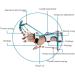 Adjustable Finger Orthosis Multifunctional Wrist Physiotherapy Training for Both Right and Left Hands - Buy Online on SooperMarket.com