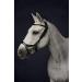 PresTeq FaySport Snaffle Bridle Black Full Size