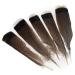 Lampu 10-12inches Grade A Natural Turkey Feathers Crafts hat DIY Clothing Decoration per Pack of 10 10-12 Grade A Turkey Feathers