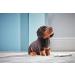 Living Nature Soft Toy Gift Bundle - Plush Dachshund Sausage Dog & Puppy - 20cm and 16cm - Dachshund Bundle - Buy Online on SooperMarket.com