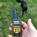 NO SHOCK Vibrating Dog Training Collar with Remote Control - Waterproof, 500 Yards Range - Vibration/Beep Mode for Home Training - Buy Online on SooperMarket.com