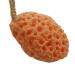 Buy Konjac Body Cleansing Sponge | Premium Shower & Face Exfoliator - Spa Quality for All Skin Types - Buy Online on SooperMarket.com