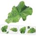 PLAFOPE Lettuce Hairpin Aesthetic Hair Clips Hair Clips Hair Accessories for Women Clips for Hair Alligator Hair Clips Hair Clips for Teen Cute Hair Accessories Small Hairpin - Buy Online on SooperMarket.com