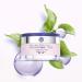 Yves Rocher Filler Vegetal Day Cream 50ml - Anti-Aging Hydrating Moisturizer for Radiant Skin - Shop Internationally - Buy Online on SooperMarket.com