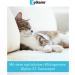 Zylkene Vetoquinol Capsules 75 mg - 60s Pack | Support for Dogs in Unusual Situations | Buy Online - International Shipping Available - Buy Online on SooperMarket.com