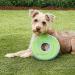 Chuckit! Zipflight Frisbee Dog Toy - Durable Fetch Toy for Dogs | Medium Size - Buy Online on SooperMarket.com