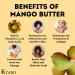 Kyabo 100% Pure Mango Butter Raw Organic & Unrefined - Chemical-Free Natural Skin Moisturizer (5 lb) - Buy Online on SooperMarket.com