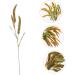 Ciieeo 3pcs Simulated Ears of Corn Artificial Wheat Ears Stalks Thanksgiving Decorations Wheat Home D cor Fall Decor Artificial Plants Simulation Wheat Ears Household Fake Grass Iron Greenx3pcs 12X75CMx3pcs - Buy Online on SooperMarket.com