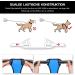 POPOT No-Pull Dog Harness - Reflective Pet Vest for Training & Walking - Control Handle - Blue (Small) - Buy Online on SooperMarket.com