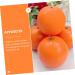 Alipis 10 Pcs child boy Children Toys props Model toy reward Fake Orange Models orange artificial toy set accessories window at home fake fruit Toy banana decoration fake - Buy Online on SooperMarket.com