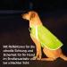 Reflective Dog Warning Vest - Safety Jacket with Lining Fabric | Robust Sizes in Neon Green for Enhanced Visibility - Buy Online on SooperMarket.com