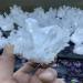Room Decoration 1pcs Natural Crystal Cluster Raw Quartz White Stones Crystal Point Specimen Home Decoration Raw Crystals NaturalReiki Decoration (Size : 200-300g) - Buy Online on SooperMarket.com