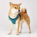 HUNTER HILO COMFORT Harness for Small Dogs - Mesh & Reflective Elements Turquoise ML - International Shipping Available - Buy Online on SooperMarket.com