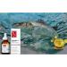 Celya Vegan Omega-3 Natural Drops (2) - Buy Online on SooperMarket.com