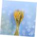 MAGICLULU 1 Decor Natural Wheat Rural Wheat Dried Wheat Simulation Wheat Dried Flowers Bouquet - Buy Online on SooperMarket.com