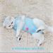 Easy Joy Recovery Suit for Cats - Postoperative Litter Clothing for Abdominal Wounds | E-Collar Alternative | Soft Indoor Pet Apparel (M Blue) - Buy Online on SooperMarket.com