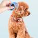 Remove the Knot Comb for Cats & Dogs - 2PCS Dematting & De-Filtering Tools - Buy Online on SooperMarket.com