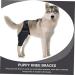 BELLIFFY Dog Foreleg Brace Puppy Knee Braces Dog Acl Brace Hind Leg Paws Pet Mesh Fabric Large Dog Elbow Pads S As Shown - Buy Online on SooperMarket.com
