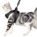 Cat dishes and line ultra -light for escape protection adjustable soft network step in padded padding running vest jacket for kittens pets puppy gray m (1 Pack) gray