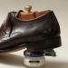 Saphir Superfine Cream Shoe Polish - Taupe Grey Pommadier 88-50ml - Buy Online on SooperMarket.com