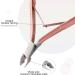 Cuticle Trimmer with Cuticle Pusher Cuticle Remover Cutter Nipper and Cuticle Nail Pusher Peeler Scraper Durable Dead Skin Clipper Manicure Pedicure Tools (Rose-Gold) - Buy Online on SooperMarket.com