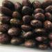 KuRkur Natural Crystals 400-800g Natural Strawberry Stick Stone Single PointTorch Decoration Can be Used for (Size : 600-700g) (Size : 700-800g) - Buy Online on SooperMarket.com