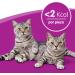 Whiskas Dentabites Cat Snack - Chicken Flavor (Pack of 8 x 40g) - International Shipping Available - Buy Online on SooperMarket.com