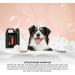 GROOM PROFESSIONAL Citrus Shine Dog Shampoo 4L - Deep Cleansing & Deodorizing Formula with Peach Oil for Greasy Coats - Fresh Citrus Scent - Ideal for Smelly Dogs - Buy Online on SooperMarket.com