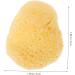 Mikinona Natural Sponge - Greece Facial Face Scrubber & Cleansing Pad for Perfect Skin Care - Buy Online on SooperMarket.com