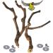 PINVNBY Natural Parrot Perch Stand Wild Grape Stick Toy for Small Birds - 2PCS - Buy Online on SooperMarket.com