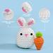 Beginner Crochet Kit: Rabbit & Carrot Stuffed Animal DIY Set with Video Tutorials - Buy Online on SooperMarket.com