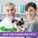 Calming Cat Collar for Anxiety Relief | Adjustable, Waterproof, Safe Pheromone Anti-Anxiety Treatment | Natural Calm for Kitten, Medium, Large Cats | Purple (2 Pack) - Buy Online on SooperMarket.com