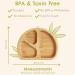 Munchkin Bambou Divided Plate - Stay Put Suction Plate for Babies & Toddlers | BPA Free Bamboo Plate for Baby Weaning | Kids' Mealtime Essential - Buy Online on SooperMarket.com