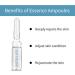 INCELLICE Hyaluronic Acid Serum Ampoules 7 * 1ml Serum Ampoules for Microneedling Anti-aging Face Serum for Dry and Damaged Skin s 7 Days Treatment - Buy Online on SooperMarket.com