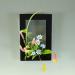 WANDIC Floral Arranging Vase  Black Rectangle Photo Frame Shaped Plastic Ikebana Vases & 5cm Rectangle Flower Frog for Ikebana Floral Arrangement Art Home Decor