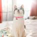 VKPETFR Breakaway Cat Collars with Bell & Cute Pendants - 3 Pack Adjustable Safety Kitten Collars - Ideal Decoration for Girl Boy Cats, Puppies, and Small Pets - Buy Online on SooperMarket.com