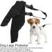 BORDSTRACT Dog Leg Braces for Hind Leg Adjustable Dog Knee Brace for Cruciate Ligament Injury Protecting Wounds Surgery Healing Arthritis Joint Pain and Muscle Sore HJ25 XS - Buy Online on SooperMarket.com