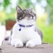 Tagme Cat Neck Band - 2 Pack Customizable Cat Necklace with Safety Clasp & Bell | Adjustable 18-31 cm Navy Blue - Buy Online on SooperMarket.com
