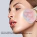 Powder Blush Brushes Set Makeup Brush Set Multipurpose with Storage Bag for Salon - Buy Online on SooperMarket.com
