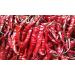 Dried Andhra Chillies/Sigappu Milagai/Organic Dry Red Chillies 1000g (Pack of 02) - Buy Online on SooperMarket.com