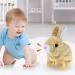 ZBATHTOY Jumping Rabbit Toy for 0-36 Months | Interactive Electronic Toy for Kids | Ideal Gift for Boys and Girls Ages 1-5 - Buy Online on SooperMarket.com